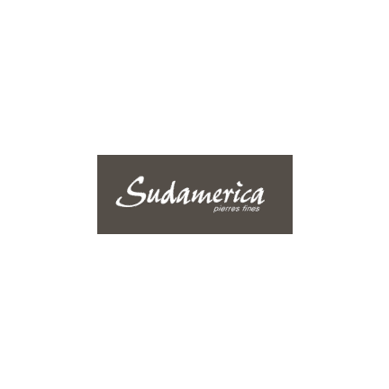 sudamerica logo